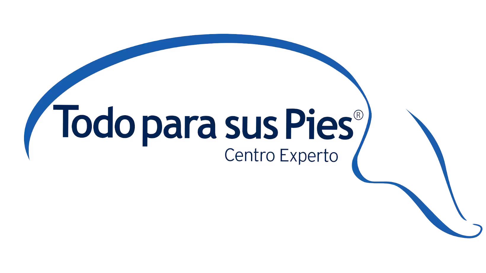 Logo de Todo para sus pies